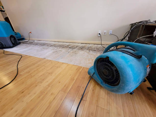 Professional Emergency Water Damage technician working in Carthage, NC